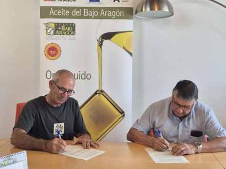 bajoaragon-acuerdo-dop-17062026 (1)